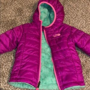 The north face coat